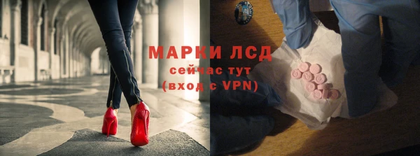 сатива Кулебаки