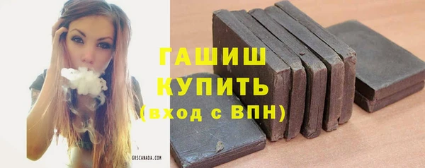 сатива Кулебаки