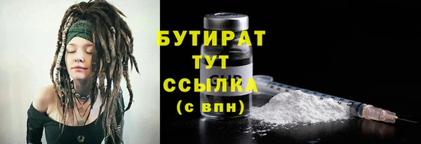 сатива Кулебаки
