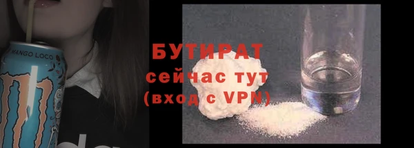 сатива Кулебаки