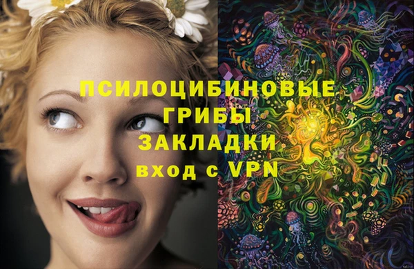 трава Кукмор