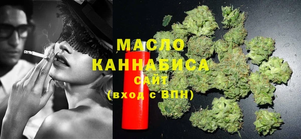 сатива Кулебаки