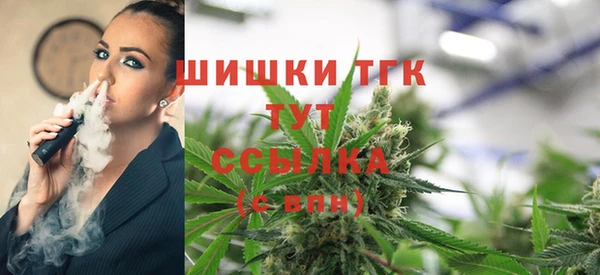 сатива Кулебаки