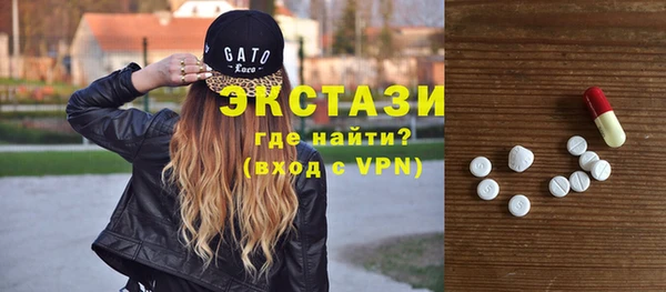 сатива Кулебаки
